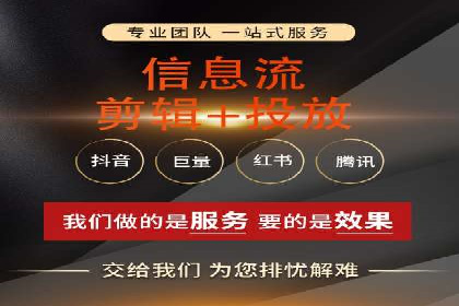 SEM代理操作技巧：成功案例揭秘